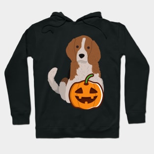 Halloween Dog Hoodie